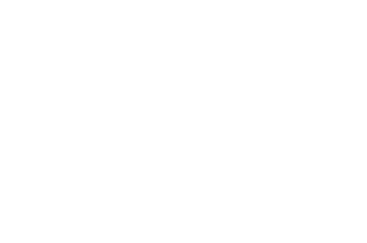VTN_logo_white